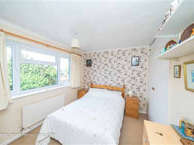 Picture 24